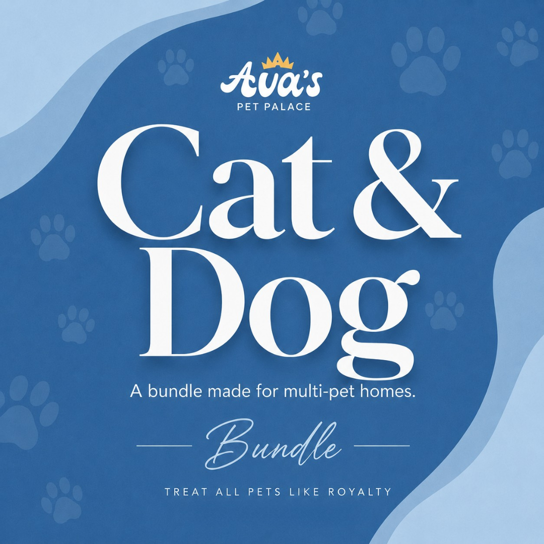 Cat and Dog treat box from Ava's Pet Palace