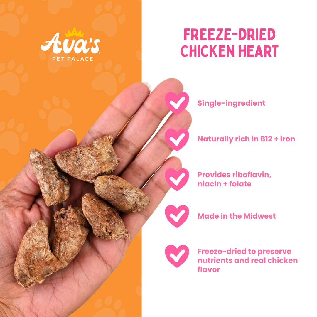 Freeze dried chicken heart dog treats