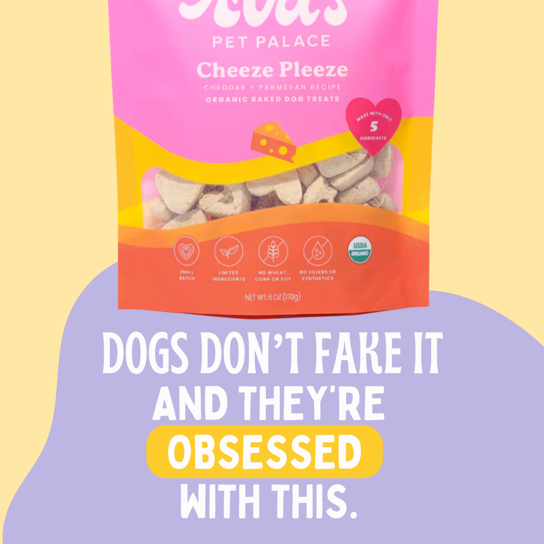 Cheeze Pleeze organic dog treats from Ava's Pet Palace