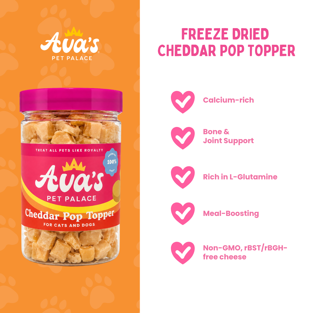 Freeze Dried Cheddar Pop Topper