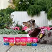 Lacy's Tail Waggin' Taster Box
