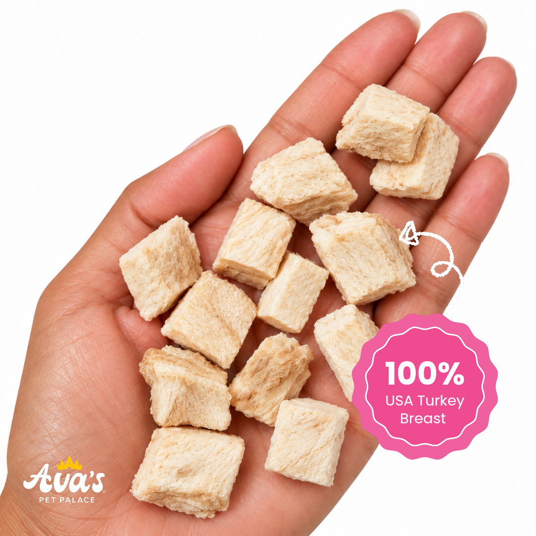 Lacy's Fav Picks Bundle Wild Salmon, Turkey & Pumpkin, Cheddar, Organic Banana & Oat Treats for Dogs