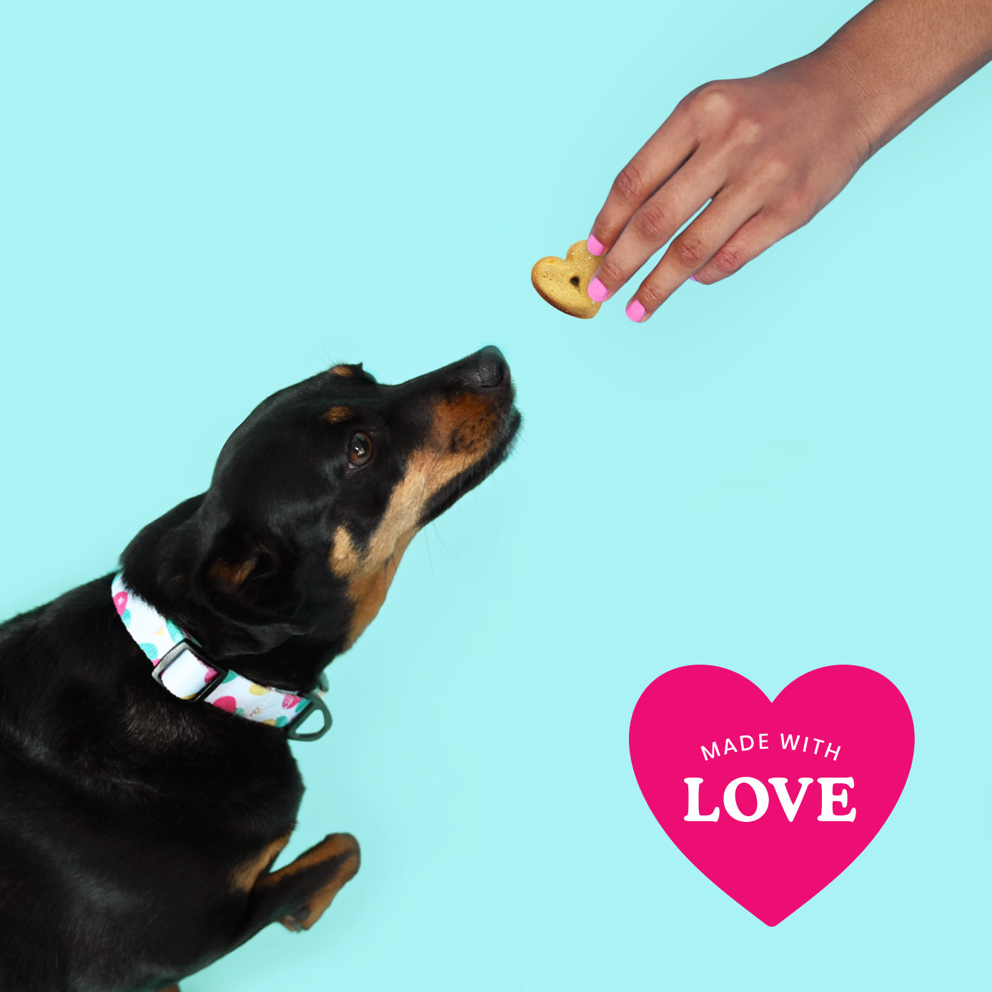 Organic Dog Treat Bundle 3 Flavors