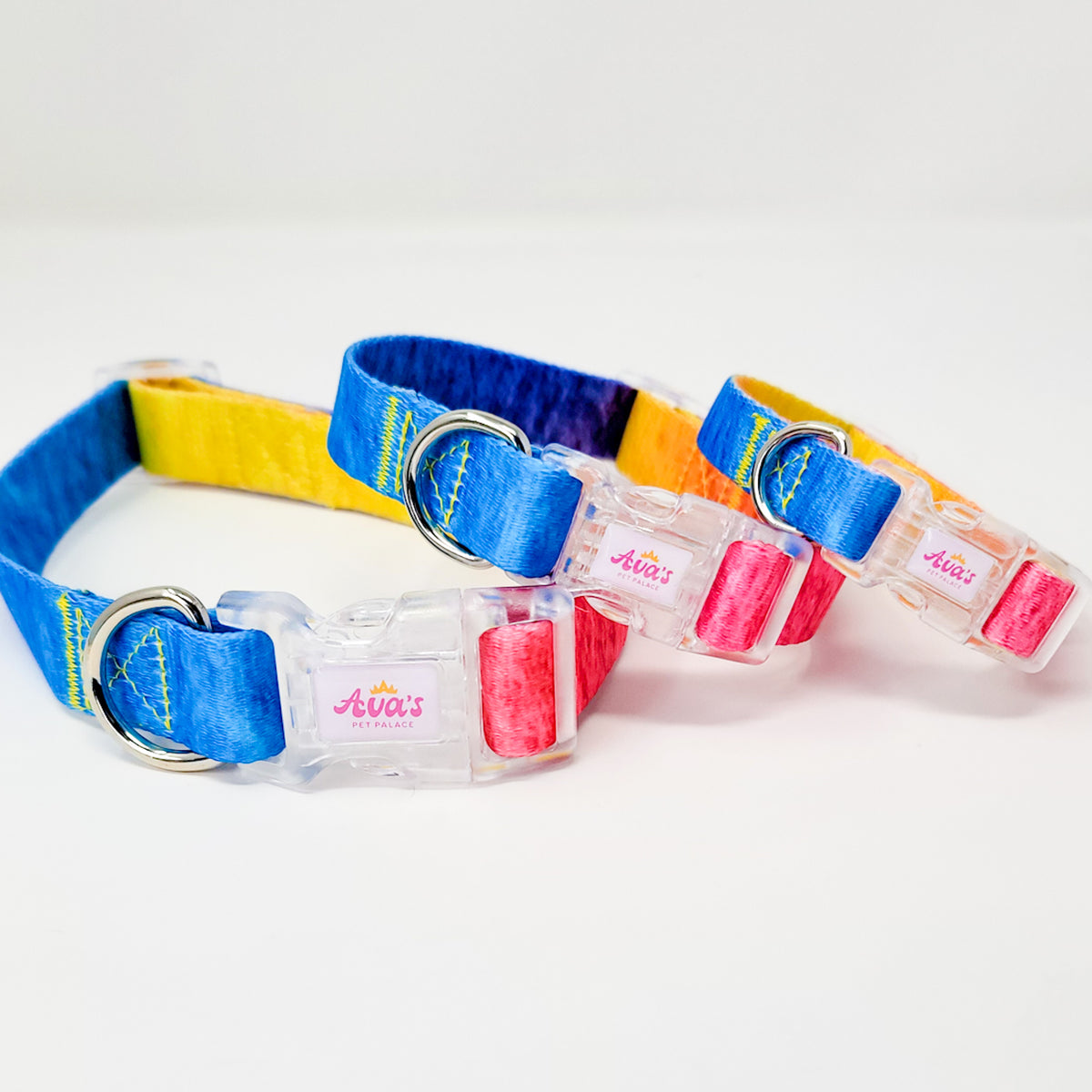Rainbow dog collar from Ava's Pet Palace